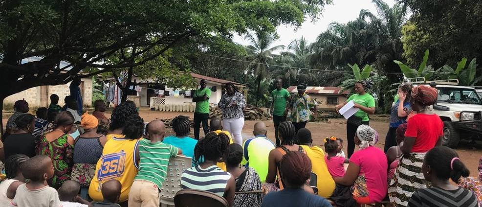 Liberian scientists and community members discuss zoonotic disease risk reduction, including tips on living safely with bats. (Image credit: Catherine Machalaba / EcoHealth Alliance)